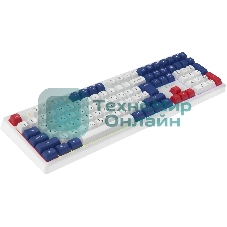 Клавиатура Oklick 725G проводная, USB Type-A, белый/красный