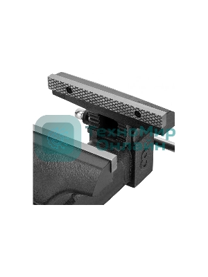 Тиски слесарные Denzel BVH-200, 200 мм, поворотные, стальная направляющая, с наковальней