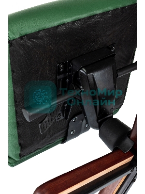 Кресло Бюрократ T-9928Walnut зеленый, кожа