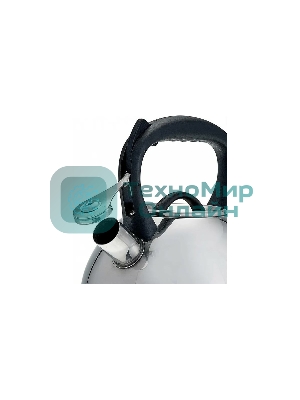 Чайник для плиты ALPENKOK AK-516 нерж.сталь со свистком 3,0л (12)