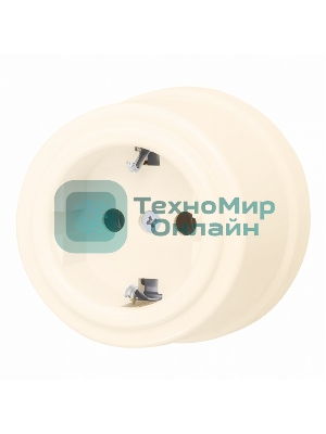 Розетка Bironi B1-101-24 с/з Лизетта пластик, песочное золото