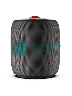 Портативная колонка MONSTER SUPERSTAR s110 черный