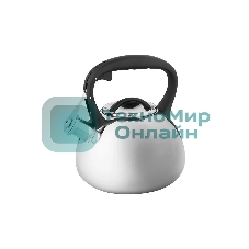 Чайник для плиты ALPENKOK AK-516 нерж.сталь со свистком 3,0л (12)