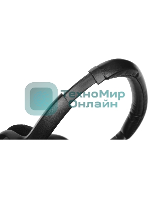 Гарнитура проводная Logitech Headset H390 USB черный
