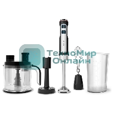 Блендер настольный Centek CT-1314