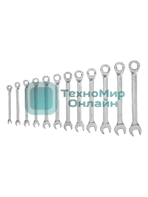 Набор ключей комбинированных трещоточных Denzel 6-19 мм, 12 шт., CrV, матовый хром