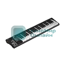 MIDI клавиатура 110105A2035 Icon Artist 49X