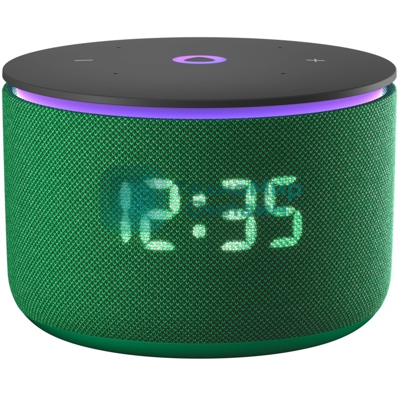 Умная колонка Яндекс Станция Мини 3 Про, 18Вт, компактная, 1 динамик, Алиса, Wi-Fi, Bluetooth 5.0, Zigbee, Matter, зеленый