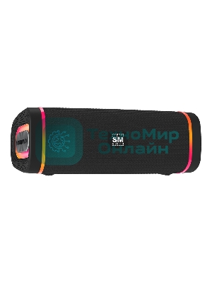 Портативная колонка SOUNDMAX SM-PS5019B черный