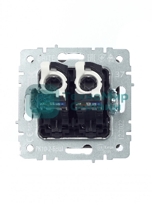 Розетка компьютерная двойная IEK BRITE РК10-2-БрШ (BR-K20-1-K37) СП RJ45 кат.5E шампань