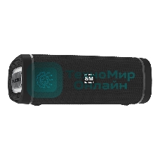 Портативная колонка SOUNDMAX SM-PS5019B черный