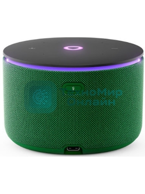Умная колонка Яндекс Станция Мини 3 Про, 18Вт, компактная, 1 динамик, Алиса, Wi-Fi, Bluetooth 5.0, Zigbee, Matter, зеленый