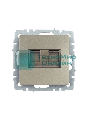 Розетка компьютерная двойная IEK BRITE РК10-2-БрШ (BR-K20-1-K37) СП RJ45 кат.5E шампань