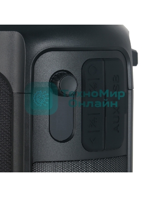 Колонка портативная Hyundai H-PS1025 черный 40W 2.0 BT 10м 3000mAh
