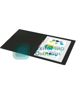 Папка на 2-х кольцах Silwerhof Eco A4, пластик, 0.5мм, черный