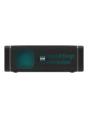 Портативная колонка SOUNDMAX SM-PS5019B черный