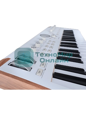 Сценическая клавиатура 230721 Arturia AstroLab 37 White Astrolab White 37 клавиш, полувзвешенная механика, 10 звуковых движков, вокодер, 10 кнопок пресетов, 4 макрорегулятора, MIDI-вход, USB-C и USB-A; аудио Bluetooth; WiFi, цвет белый