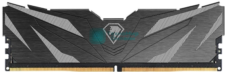 Оперативная память Netac Shadow II, DDR5, 16Gb (1x16 GB), 6000 MHz, CL38, DIMM, радиатор, черный