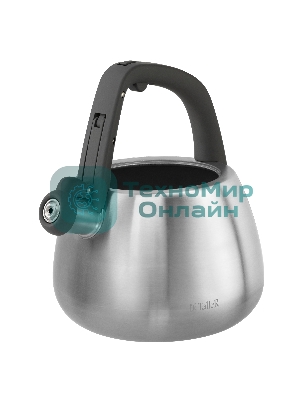 Чайник для плиты TALLER TR-11372 Рейнард 2,2 л