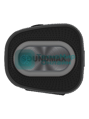 Портативная колонка SOUNDMAX SM-PS5019B черный