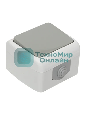 Выключатель EKF Мурманск EFV10-021-30-54 1 -клавишный 10А IP54 серый