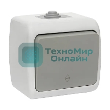 Выключатель проходной EKF Мурманск EFV10-025-30-54 PROxima 1-клавишный 10А IP54 серый