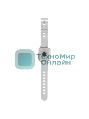 Умные часы Maxvi SW-02 grey