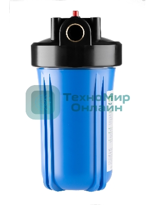 Корпус магистрального фильтра Гейзер 10BB с латунными вставками