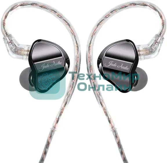 Гарнитура внутриканальные Fiio JD1 1.2м черный проводные в ушной раковине (80003799)