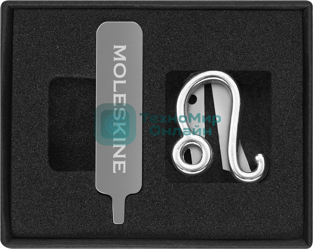 Шильд-символ Moleskine Zodiac Лев, металл, серебристый, коробка с европодвесом, PINLEOSILV