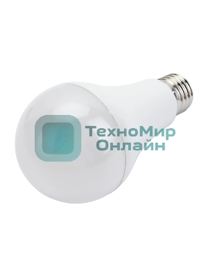 Лампа cветодиодная LED IEK LL-A65-25-230-40-E27-G груша, A65 25Вт 230В 4000К E27 GENERICA