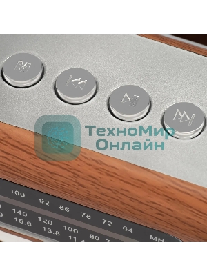 Радиоприемник портативный Hyundai H-PSR200 дерево коричневое/серебристый USB microSD