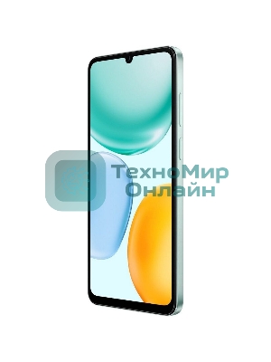 Смартфон HONOR X5C 4+64Gb зелёный (5109BYFA)