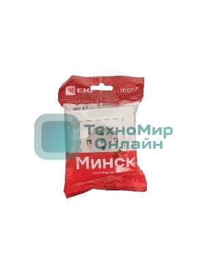 Розетка EKF Минск ERR16-028-100-USB 1-местная СП с/з с защитными шторками 16А белая с USB 1А