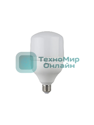 Лампа светодиодная ЭРА Б0027002 STD LED POWER T100-30W-2700-E27