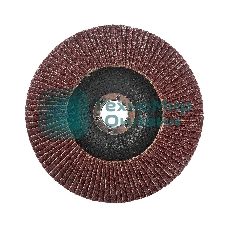 Круг лепестковый торцевой Edge by Patriot 150 ммx22,23 ммxP40