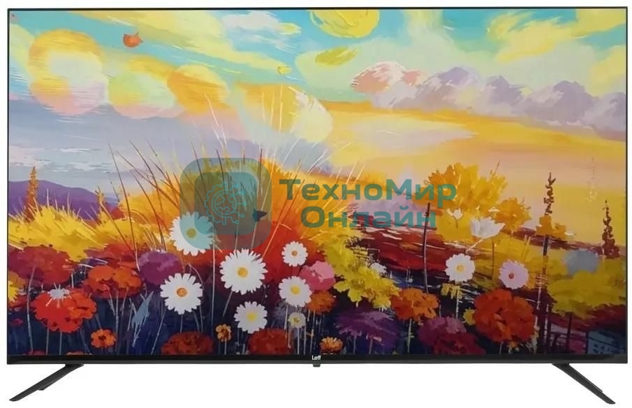 Телевизор LEFF 55