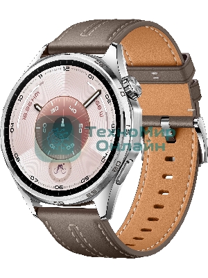 Умные часы Huawei GT 6 ATM-B19 55020FWE серый