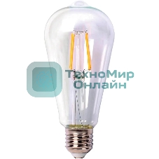 Лампа светодиодная филаментная Thomson TH-B2342 E27, эдисон, 9Вт, 6500К, белый холодный, 1 шт.