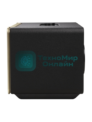 Колонка портативная JBL Authentics 500 черный 270W 1.0 BT (JBLAUTH500BLKUK)