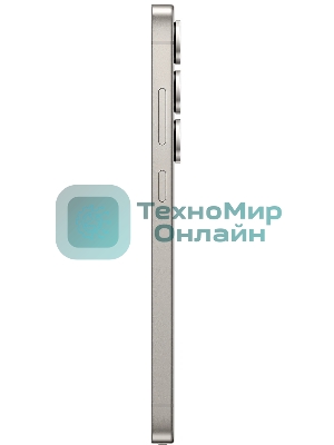 Смартфон Samsung Galaxy S25 Ultra 5G 12/256GB серый титан