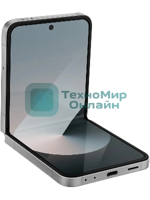 Смартфон Samsung Galaxy Z Flip 6 5G, 12/256Gb, серый