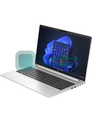 Ноутбук HP ProBook 450 G10/15.6