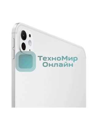 Планшет Apple iPad Pro 13