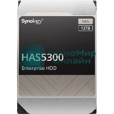 Жесткий диск Synology HAS5300-12T SAS 12TB 7200RPM 12Gb/S 256MB