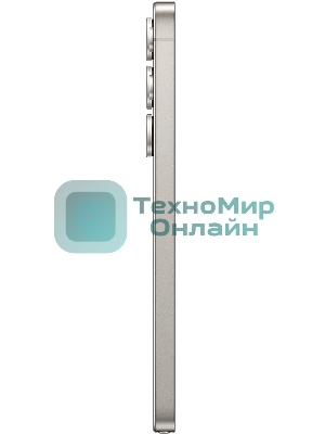 Смартфон Samsung Galaxy S25 Ultra 5G 12/256GB серый титан