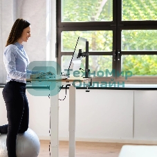 Кронштейн ONKRON D121E для монитора 13