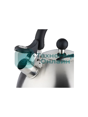 Чайник для плиты MALLONY GRANDE 5 л (985619)