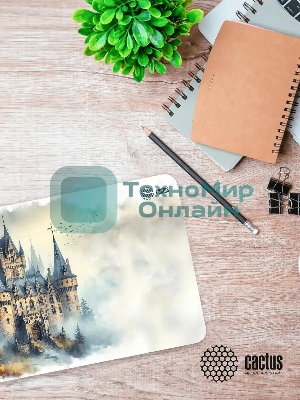 Коврик для мыши Cactus Castle 900x400x3мм (CS-MP-PRO13XXL)