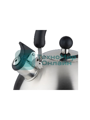 Чайник для плиты MALLONY GRANDE 5 л (985619)